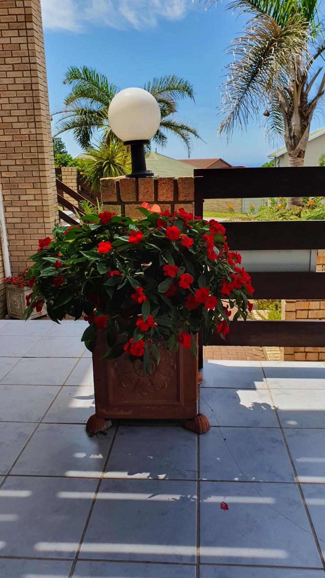 Villa Majestic For Exclusive Accommodation Port Alfred Exterior photo